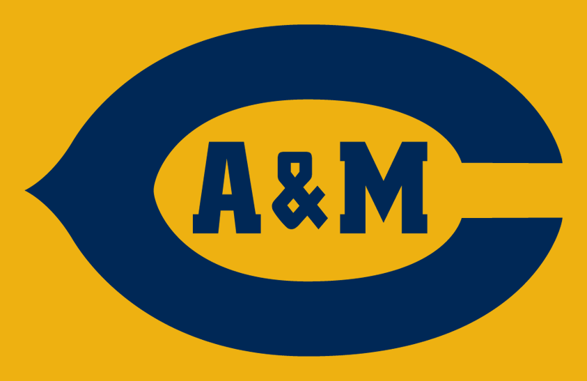 A&M-Commerce Lions 1999 Helmet Logo diy DTF decal sticker